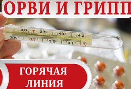 Всероссийская горячая линия по профилактике гриппа и ОРВИ