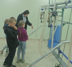 Уроки профориентации в начальной школе